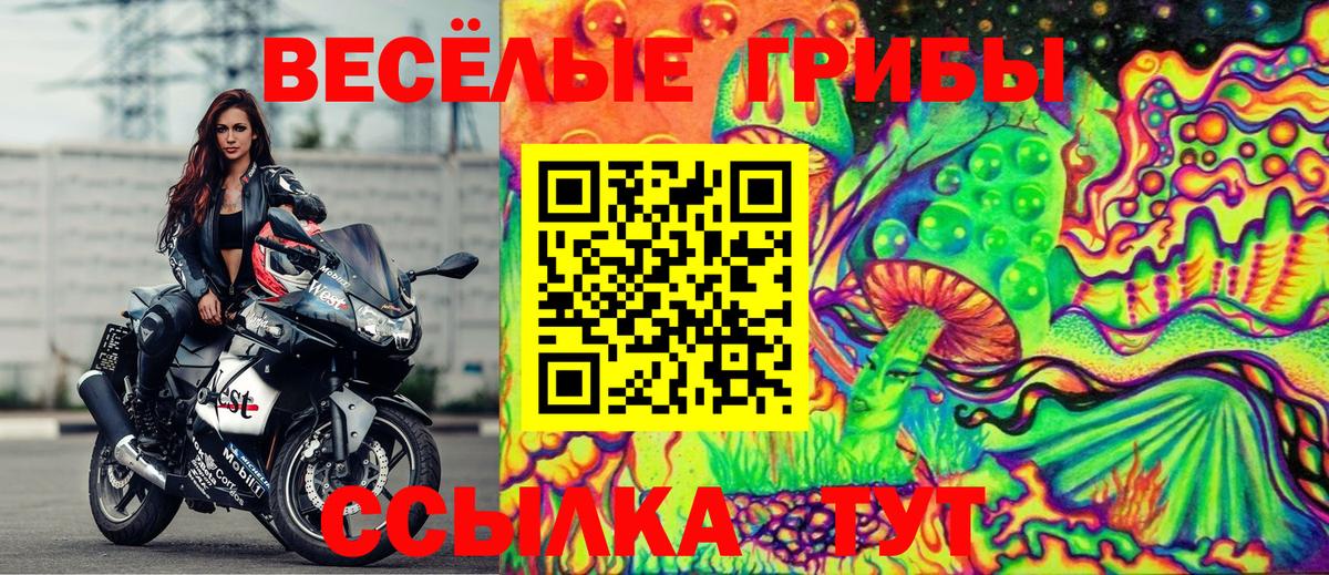 Мытищи  Псилоцибиновые грибы Psilocybe  Вход с VPN 